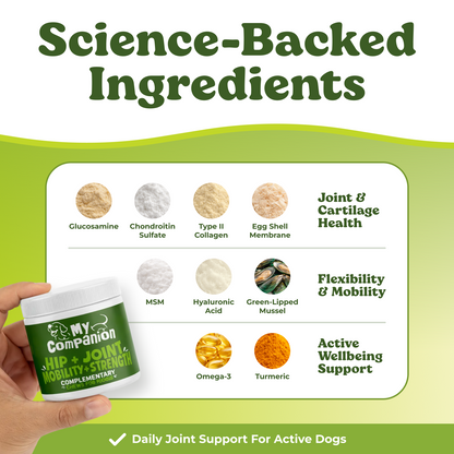 MyCompanion Triple Action Joint Chews